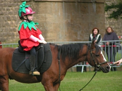 REMPARTS LONGWY 2008 146